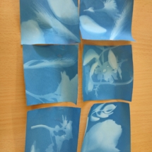 IMG20220519112812